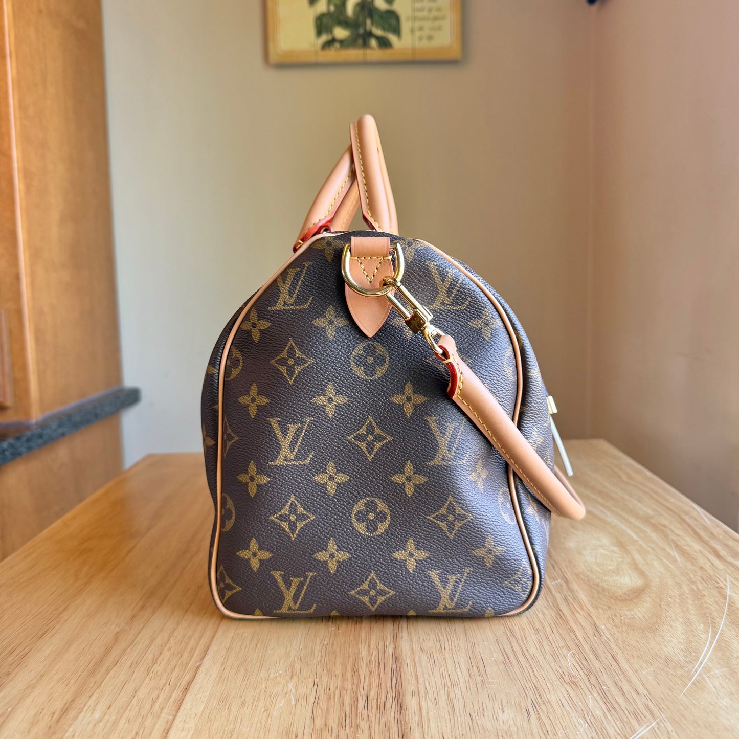 Monogram Speedy Soft 30 Crafty