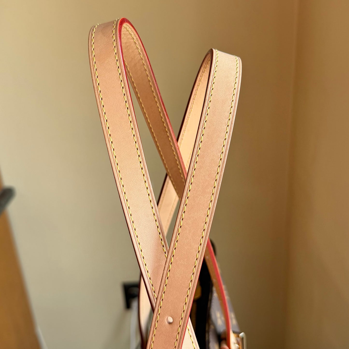 Monogram Cabas Mezzo (New Version)