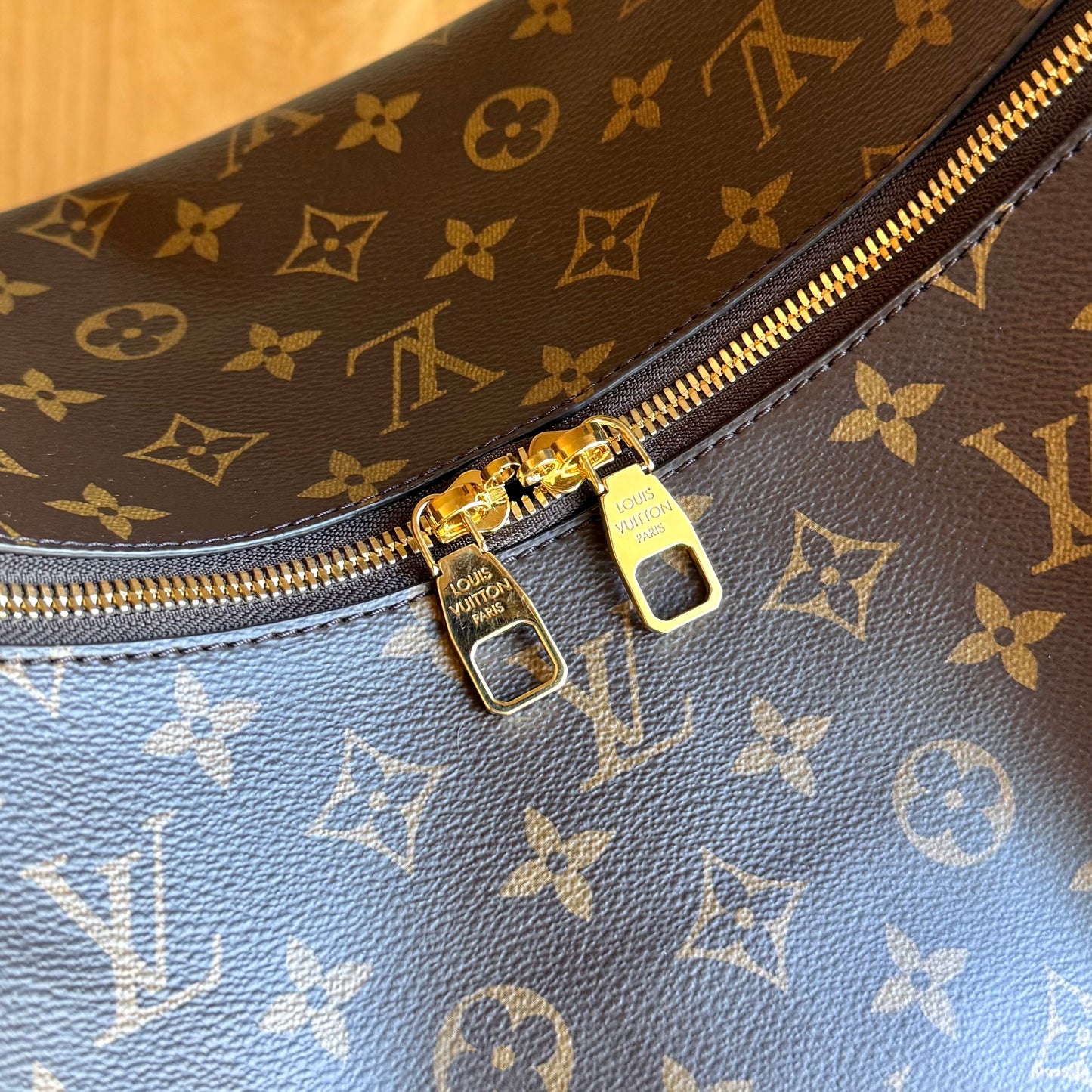 Monogram Slouchy MM