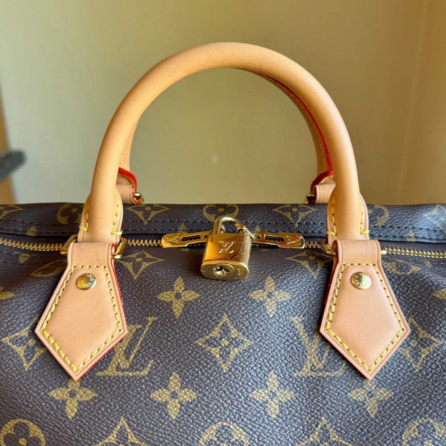 Monogram Speedy Soft 30 Crafty