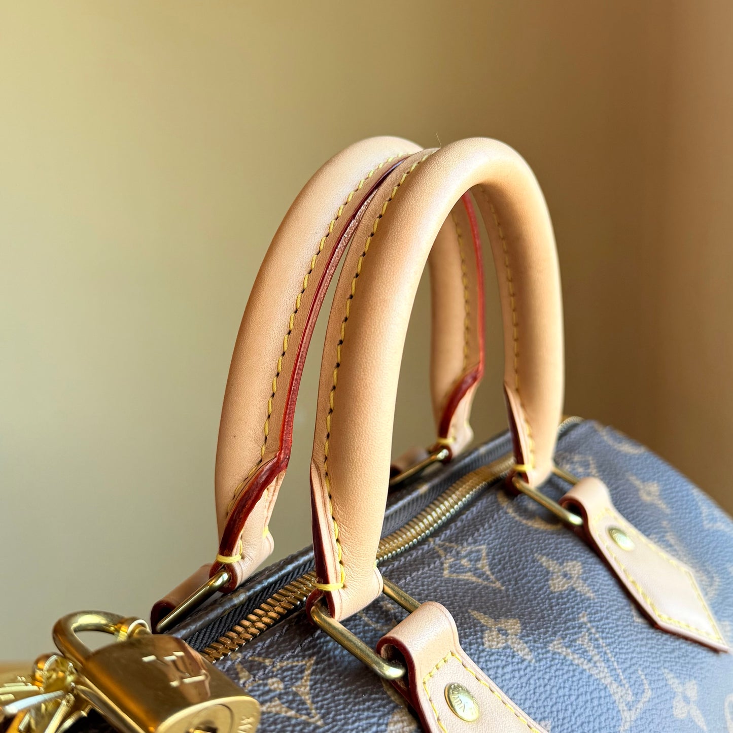 Monogram Speedy 25 Bandouliere