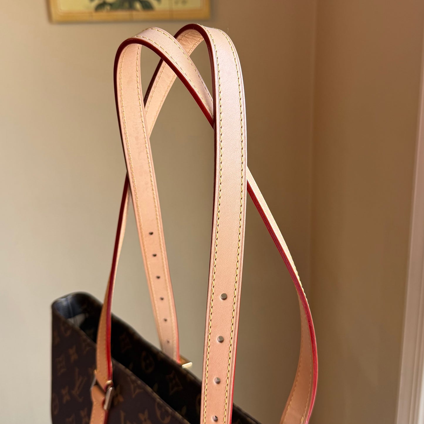 Monogram Cabas Mezzo (New Version)