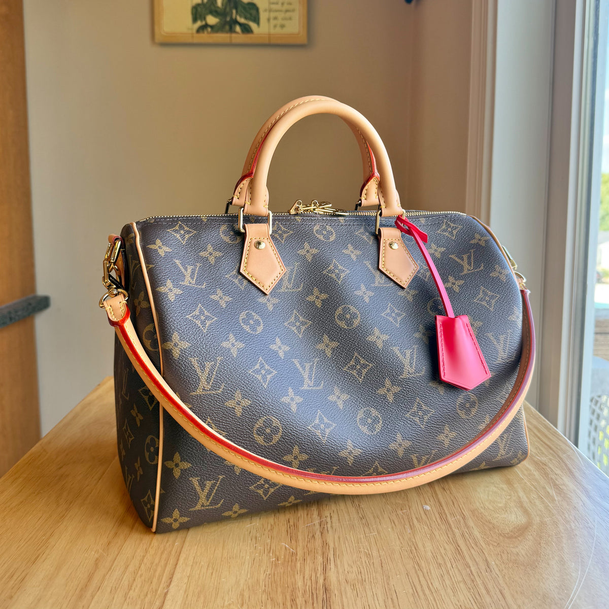 Monogram Speedy Soft 30 Crafty