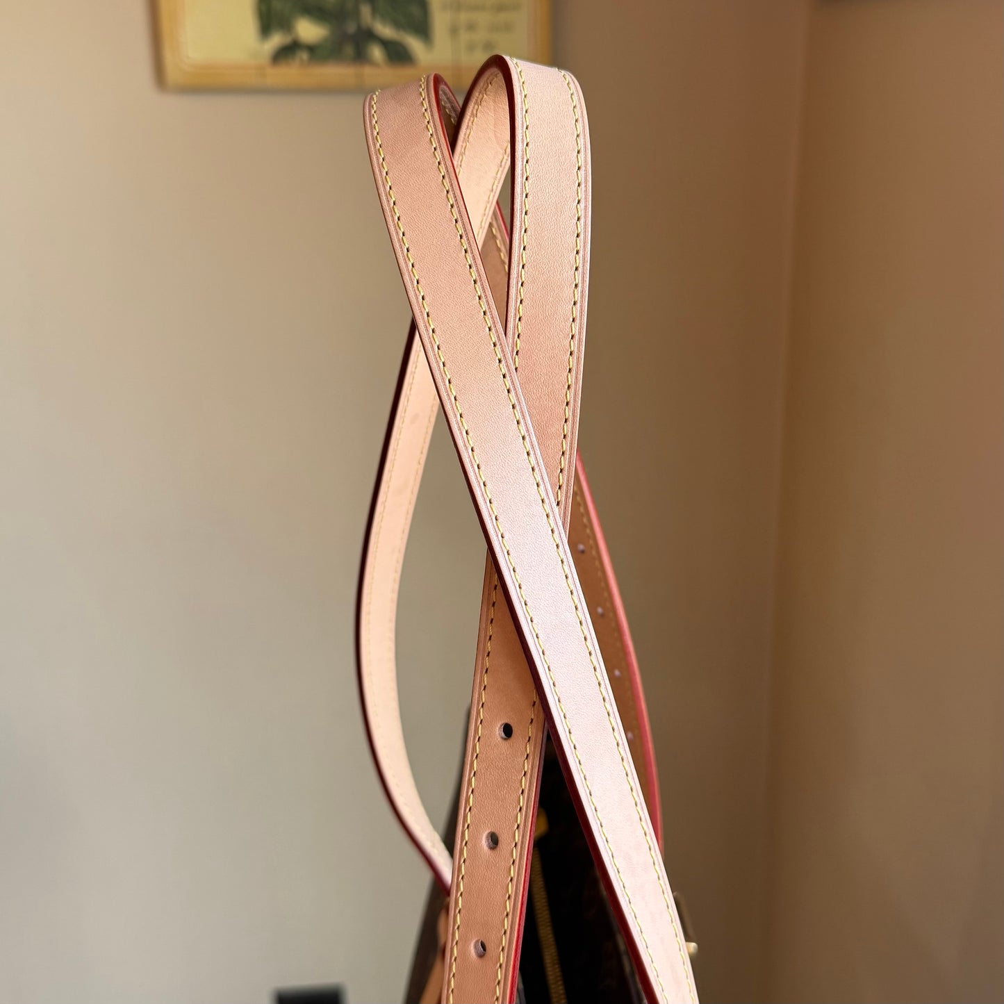 Monogram Cabas Mezzo (New Version)